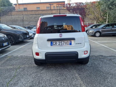 Fiat Panda 1.0 FireFly S&S Hybrid City Cross (5)