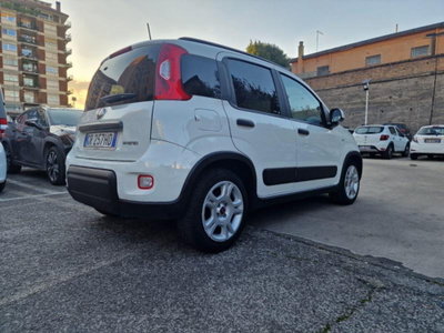 Fiat Panda 1.0 FireFly S&S Hybrid City Cross (7)