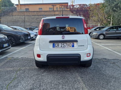 Fiat Panda 1.0 FireFly S&S Hybrid City Cross (8)
