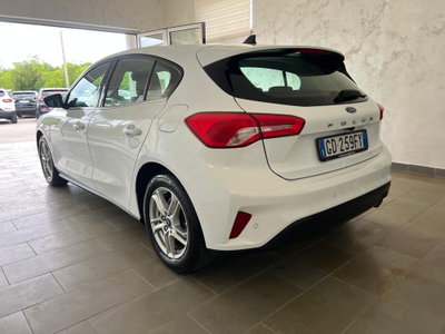 Ford Focus 1.5 EcoBlue 95 CV 5p. Business (4)