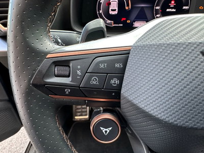 Cupra Leon Leon 2.0 tdi 150cv dsg (19)