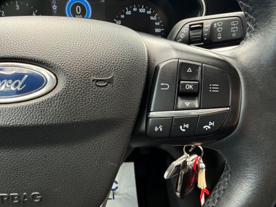Ford Focus 1.5 EcoBlue 95 CV 5p. Business (17)