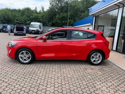 Ford Focus 1.5 EcoBlue 95 CV 5p. Business (4)