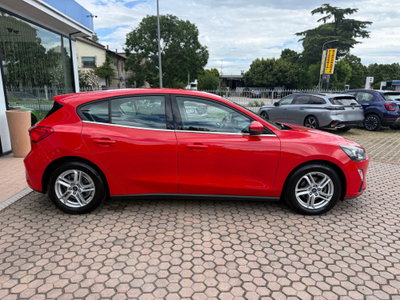 Ford Focus 1.5 EcoBlue 95 CV 5p. Business (5)