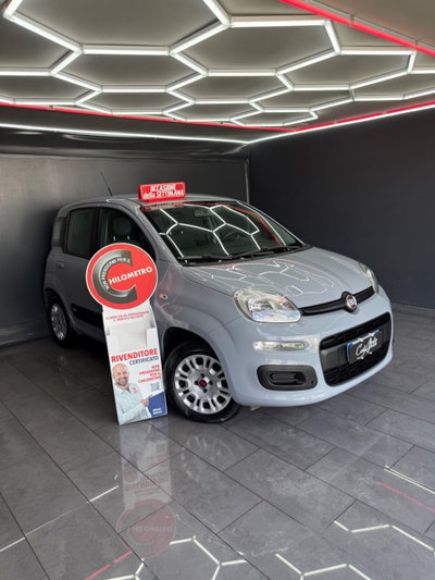 Fiat Panda 1.2 Lounge usata