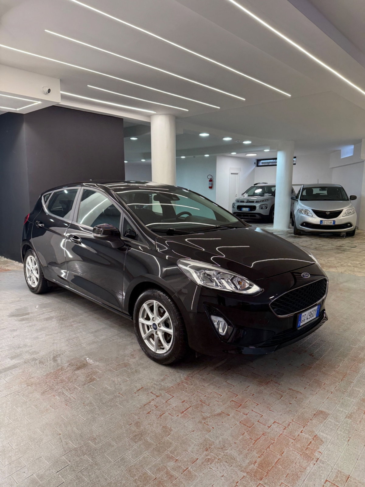 Ford Fiesta 1.1 75 CV GPL 5 porte Titanium (3)