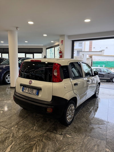 Fiat Panda 1.2 GPL Pop Van 2 posti (4)