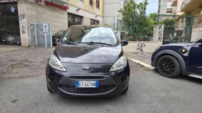 Ford Ka 1.2 8V 69CV (2)