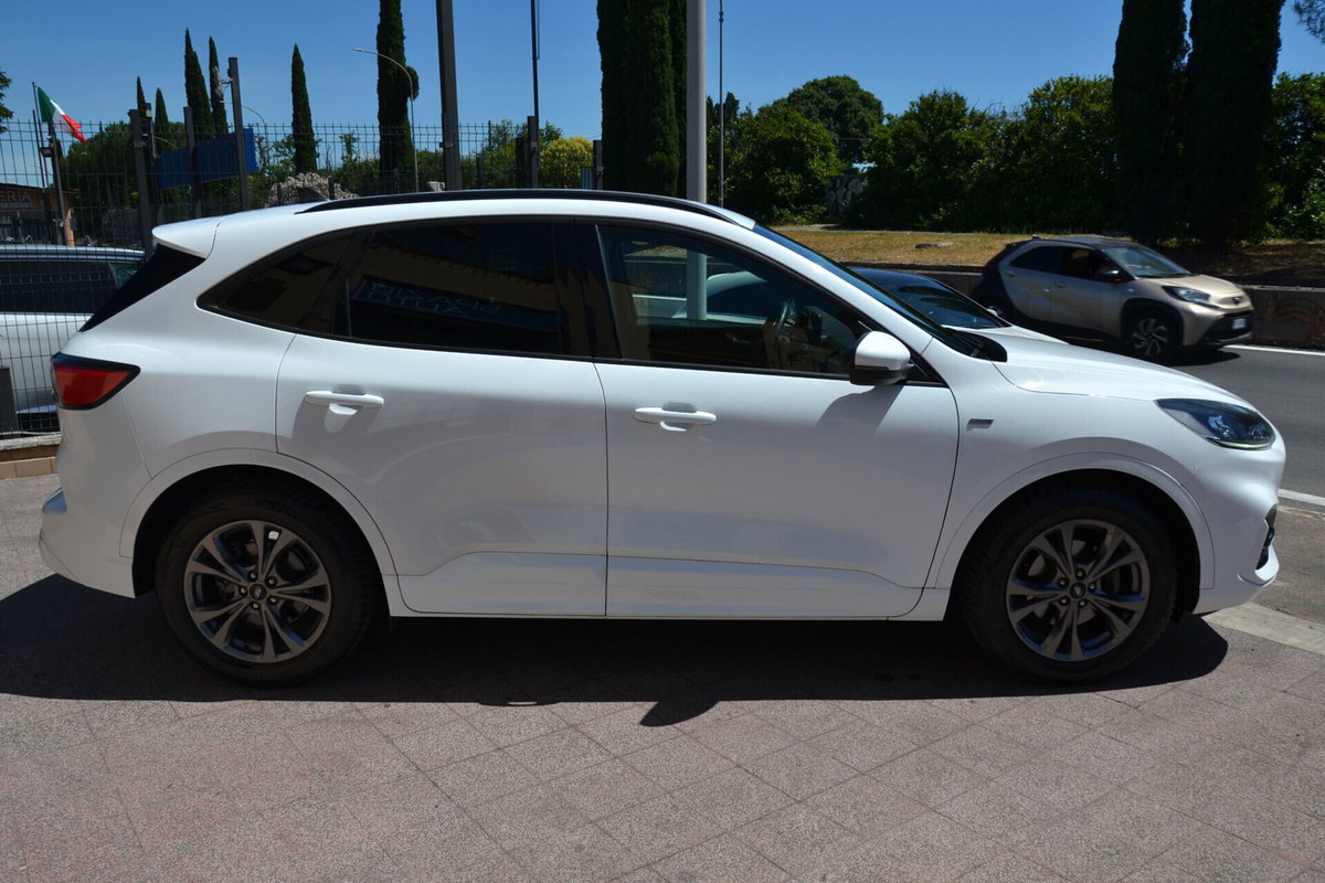 Ford Kuga 1.5 EcoBlue 120 CV 2WD ST-Line (13)