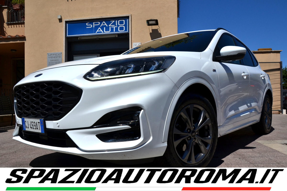 Ford Kuga 1.5 EcoBlue 120 CV 2WD ST-Line (17)