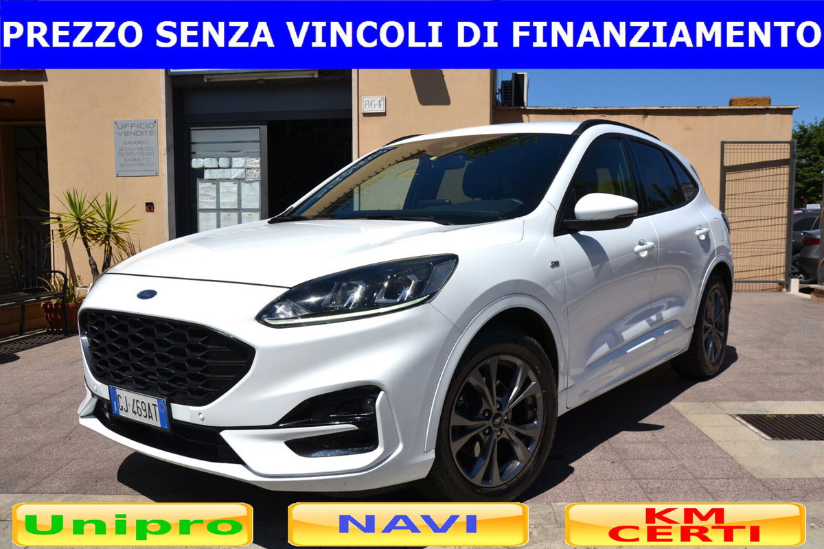 Ford Kuga 1.5 EcoBlue 120 CV 2WD ST-Line (2)