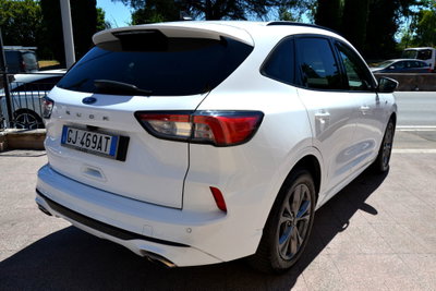 Ford Kuga 1.5 EcoBlue 120 CV 2WD ST-Line (5)