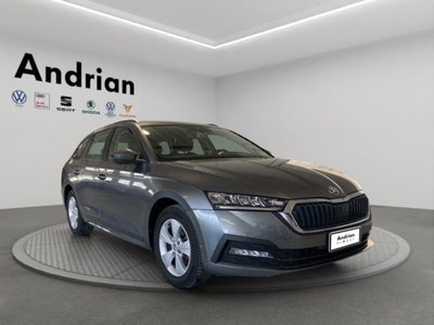 Skoda Octavia Station Wagon 2.0 TDI EVO SCR DSG Wagon Ambition (4)