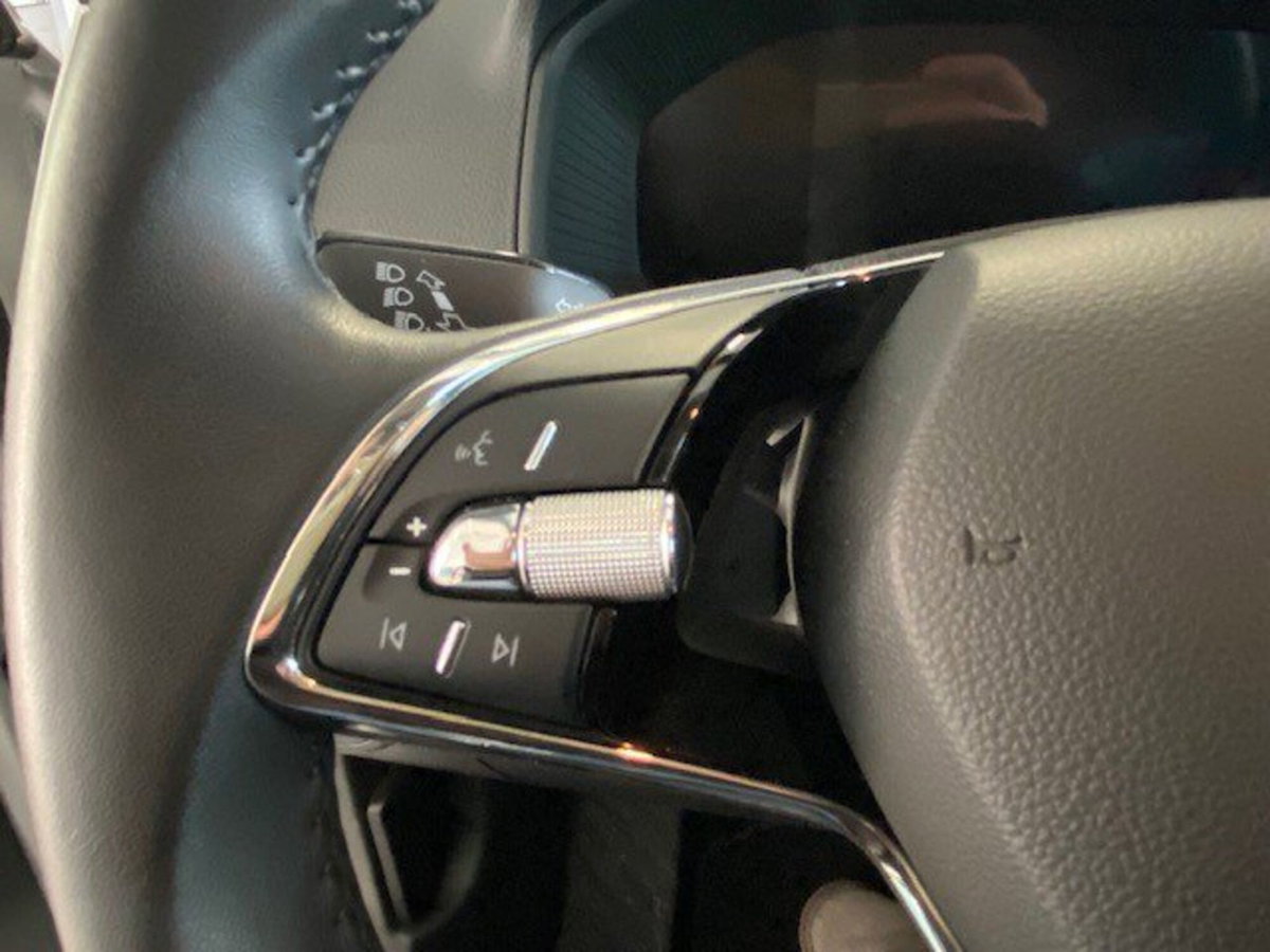 Skoda Karoq 2.0 TDI EVO SCR 115 CV DSG Ambition (14)