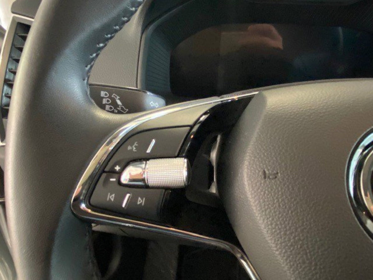 Skoda Karoq 2.0 TDI EVO SCR 115 CV DSG Ambition (15)