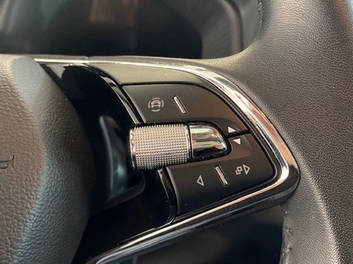 Skoda Karoq 2.0 TDI EVO SCR 115 CV DSG Ambition (17)