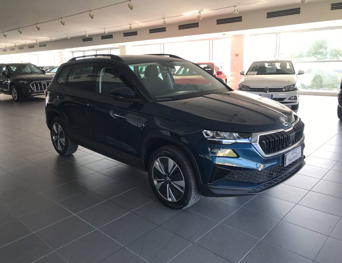 Skoda Karoq 1.5 TSI ACT DSG Executive (8)