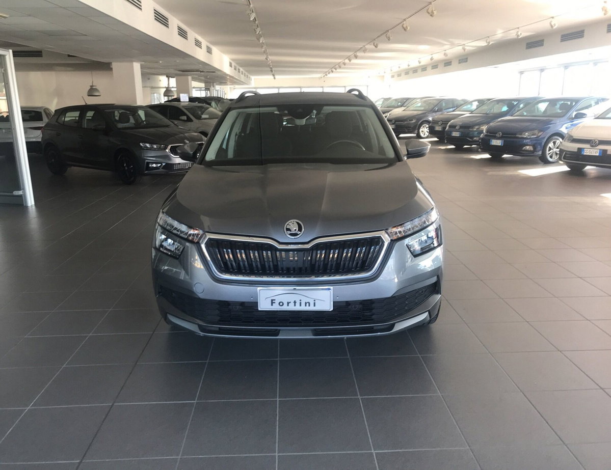 Skoda Kamiq 1.0 TSI 110 CV DSG Ambition (2)