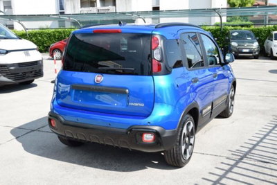 Fiat Panda Cross 1.0 firefly hybrid Cross s&s 70cv 5p.ti (6)