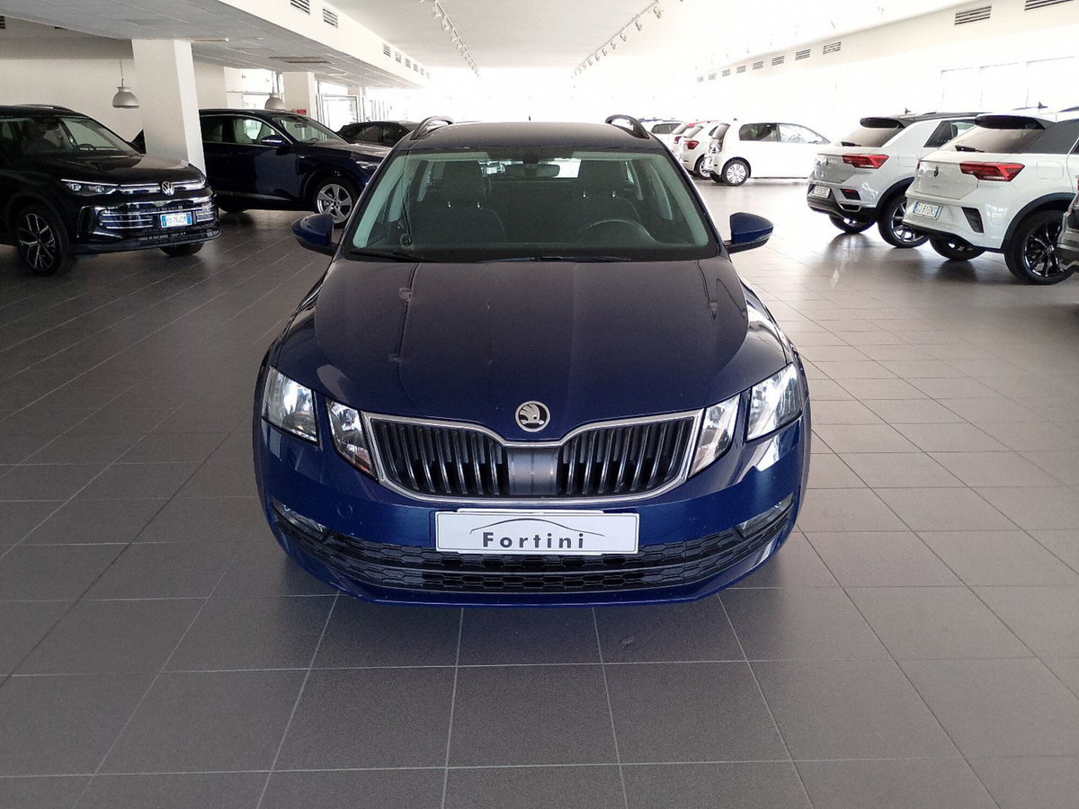 Skoda Octavia Station Wagon 1.6 TDI CR 115 CV Wagon Executive (2)
