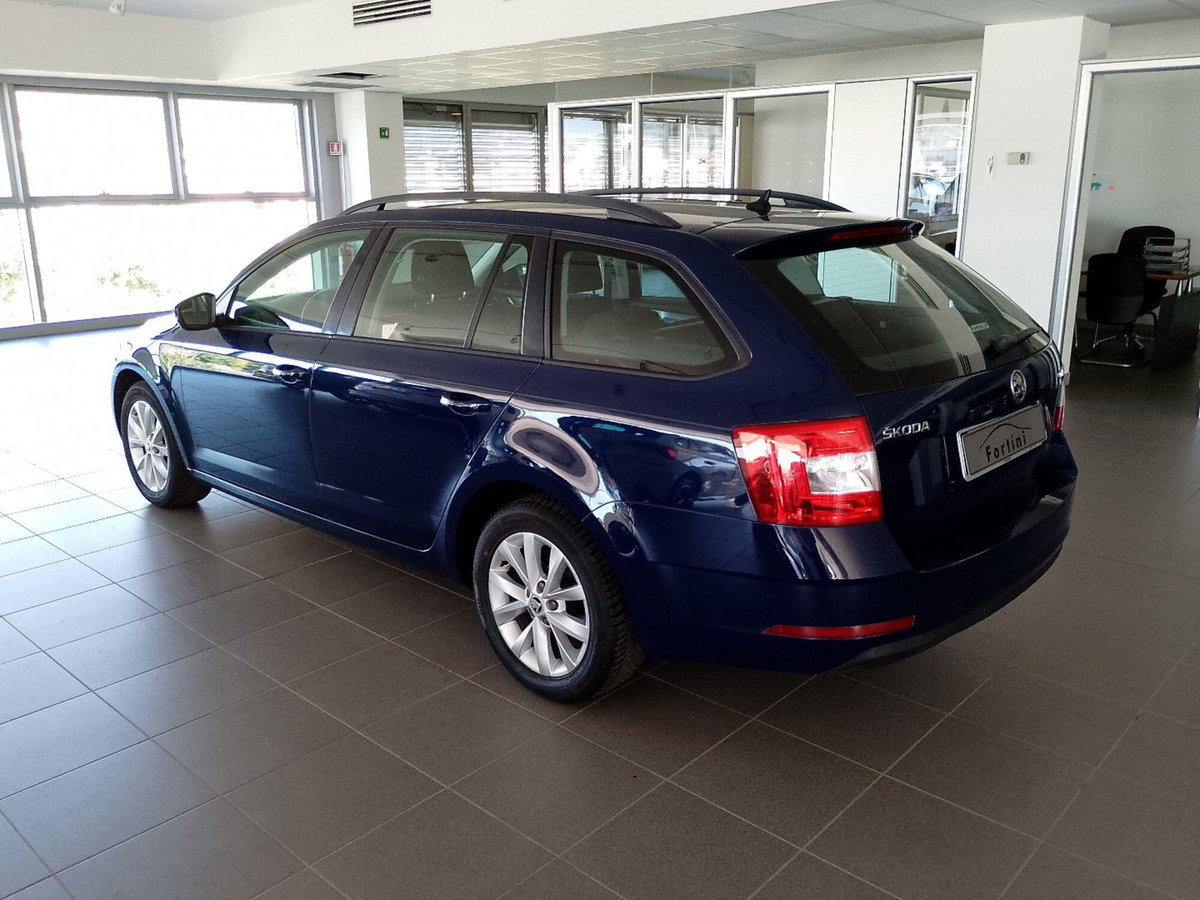 Skoda Octavia Station Wagon 1.6 TDI CR 115 CV Wagon Executive (4)