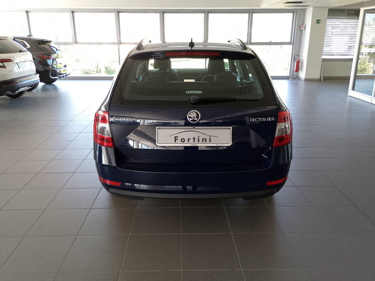 Skoda Octavia Station Wagon 1.6 TDI CR 115 CV Wagon Executive (5)