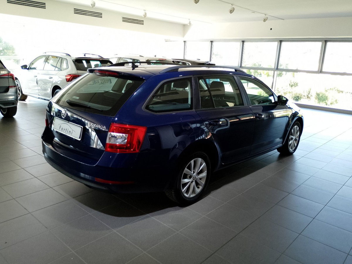 Skoda Octavia Station Wagon 1.6 TDI CR 115 CV Wagon Executive (6)