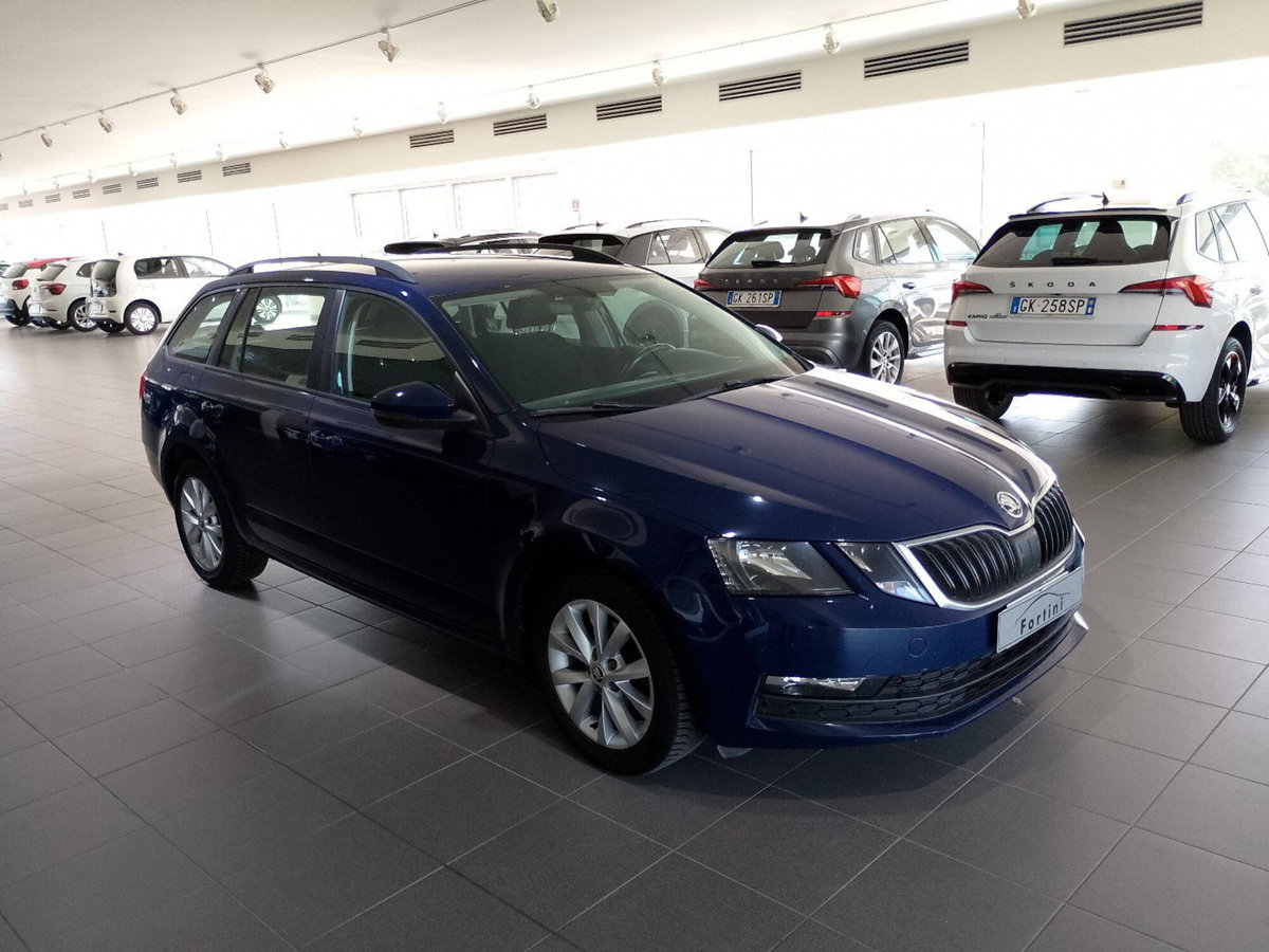 Skoda Octavia Station Wagon 1.6 TDI CR 115 CV Wagon Executive (7)
