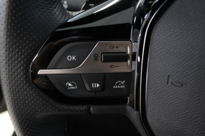 Peugeot 308 2.0 HDi 136CV 5p. aut. Féline (14)