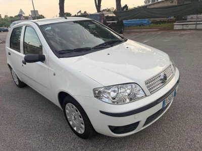Fiat Punto Classic 1.2 5 porte Active GPL usata