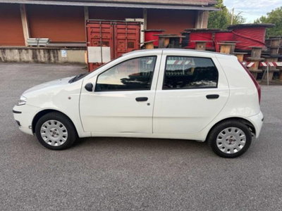 Fiat Punto Classic 1.2 5 porte Active GPL (10)