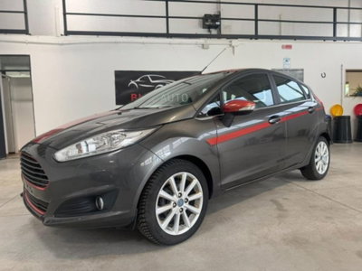 Ford Fiesta 1.0 EcoBoost 100CV 5 porte Titanium (7)