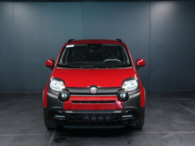 Fiat Panda Cross 1.0 firefly hybrid Cross s&s 70cv 5p.ti (2)