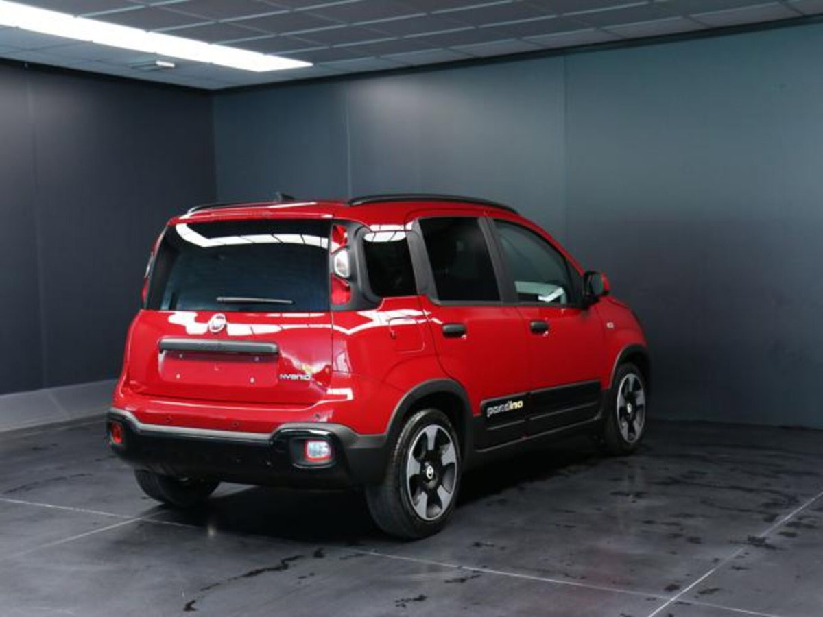 Fiat Panda Cross 1.0 firefly hybrid Cross s&s 70cv 5p.ti (3)
