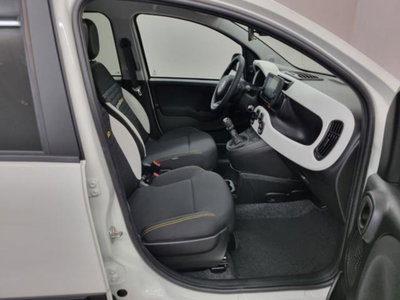 Fiat Panda 1.0 firefly hybrid s&s 70cv 5p.ti (12)