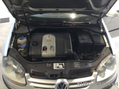 Volkswagen Golf 1.6 16V FSI 5p. Sportline (3)