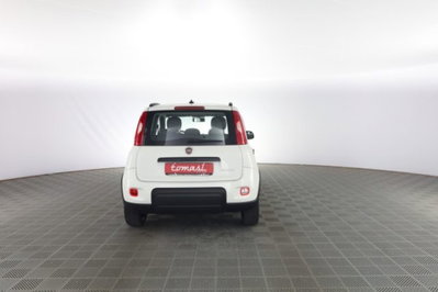 Fiat Panda 1.0 FireFly S&S Hybrid City Cross (5)
