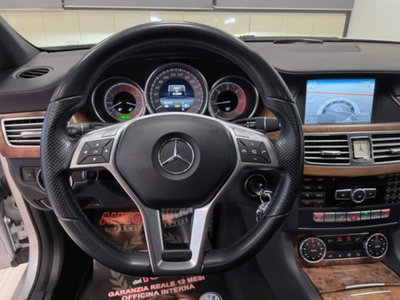 Mercedes-Benz CLS Shooting Brake 250 CDI SW BlueEFFICIENCY (19)