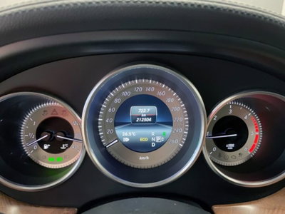 Mercedes-Benz CLS Shooting Brake 250 CDI SW BlueEFFICIENCY (20)