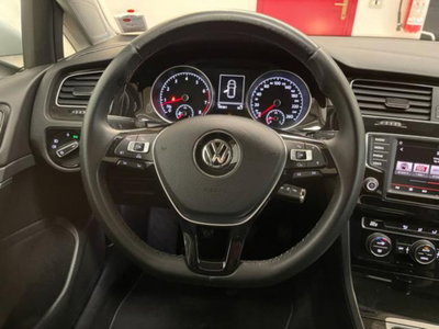 Volkswagen Golf 1.4 TGI 5p. Highline BlueMotion (19)
