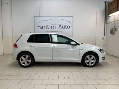 Volkswagen Golf 1.4 TGI 5p. Highline BlueMotion (2)