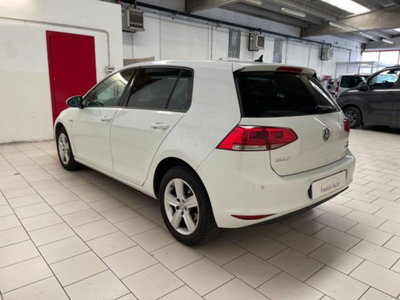 Volkswagen Golf 1.4 TGI 5p. Highline BlueMotion (5)