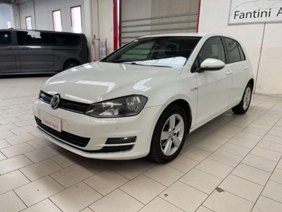 Volkswagen Golf 1.4 TGI 5p. Highline BlueMotion (6)