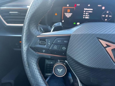 Cupra Formentor Formentor 2.0 TDI (5)