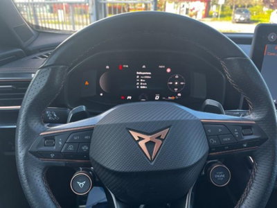 Cupra Formentor Formentor 2.0 TDI (7)
