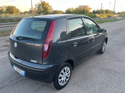 Fiat Punto Classic 1.2 5 porte Active GPL (5)