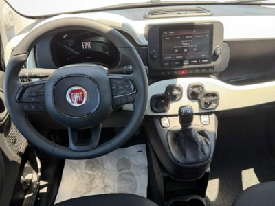 Fiat Panda 1.0 firefly hybrid s&s 70cv 5p.ti (10)