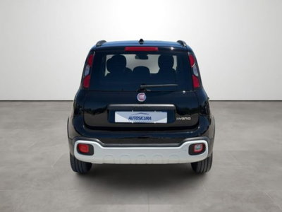 Fiat Panda 1.0 firefly hybrid s&s 70cv 5p.ti (5)