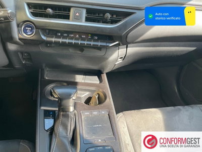 Lexus UX Hybrid 4WD Luxury (15)