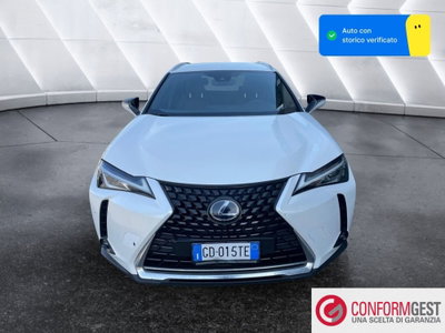 Lexus UX Hybrid 4WD Luxury (2)